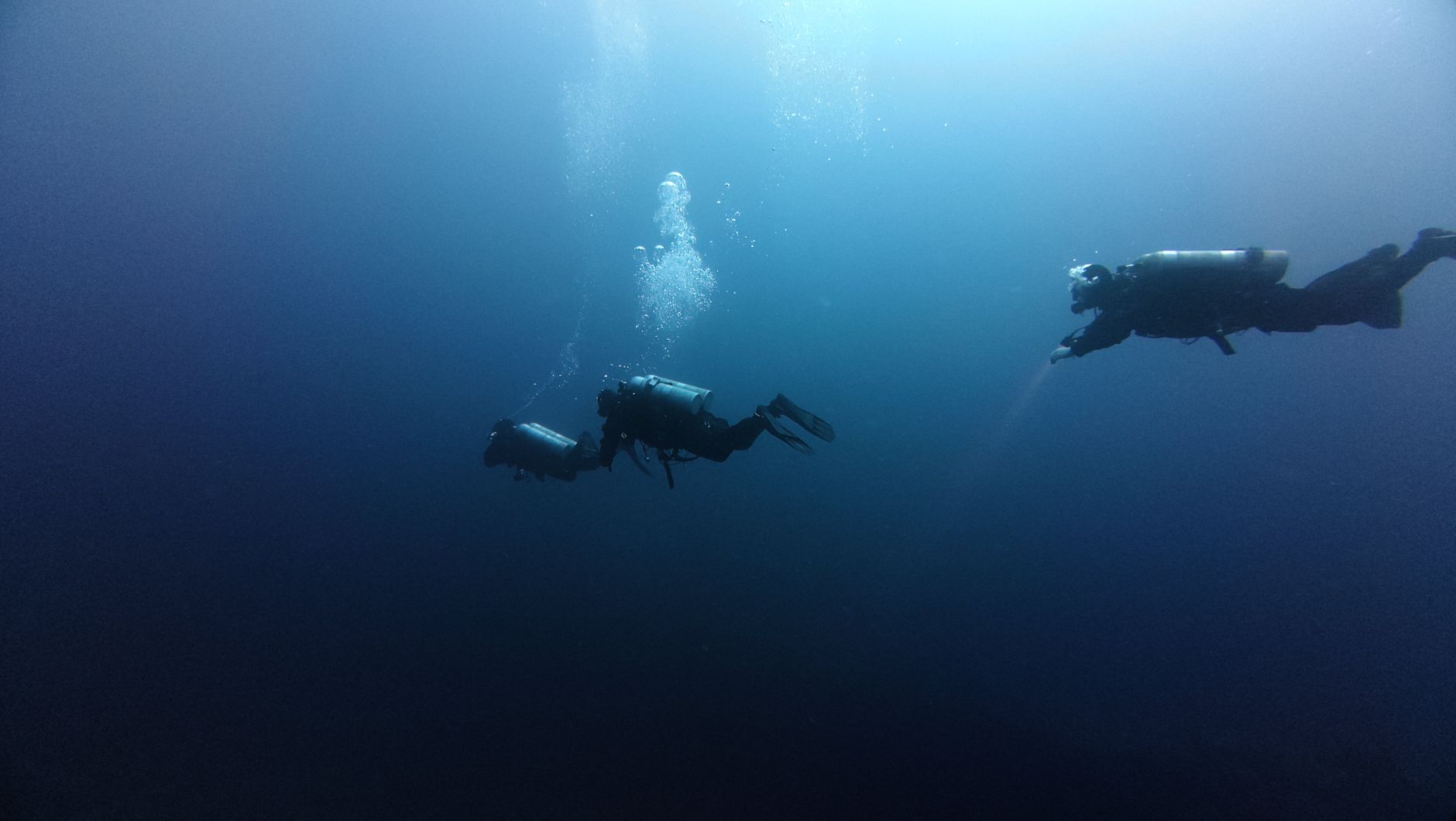 그레이트 바라쿠다(Sphyraena barracuda) 완벽 도감 — 열대 산호초의 은빛 번개