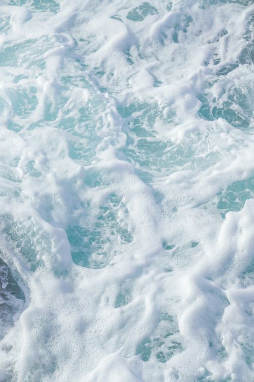 Photo via Pexels (pexels.com) — Free to use. 프랑스 지중해 투명한 바닷속 산호와 물고기